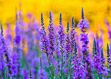 密集恐惧症预警！人群解谜游戏《人性》5月发售